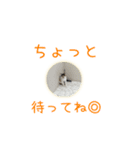 ゆらりんスタンプver.1（個別スタンプ：14）