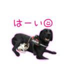 ゆらりんスタンプver.1（個別スタンプ：16）