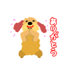 トイプーと柴犬のお正月とクリスマス（個別スタンプ：23）