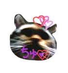 りあるミロニャンコ2（個別スタンプ：24）