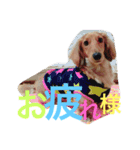 唯翔＆シェリ（個別スタンプ：4）