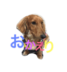 唯翔＆シェリ（個別スタンプ：11）