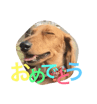 唯翔＆シェリ（個別スタンプ：14）