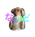 唯翔＆シェリ（個別スタンプ：16）