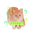 スーニャンスタンプ 2（個別スタンプ：1）