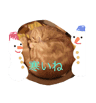 スーニャンスタンプ 2（個別スタンプ：8）