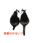 双子の姉妹（個別スタンプ：3）
