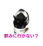 双子の姉妹（個別スタンプ：4）