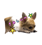 potetoooo.2（個別スタンプ：1）