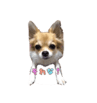 potetoooo.2（個別スタンプ：4）