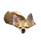 potetoooo.2（個別スタンプ：5）