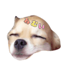 potetoooo.2（個別スタンプ：8）