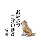 成瀬さん用の名前スタンプ・子犬イラスト（個別スタンプ：17）