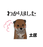 土居さん用の名前スタンプ・子犬イラスト（個別スタンプ：5）