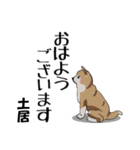 土居さん用の名前スタンプ・子犬イラスト（個別スタンプ：17）