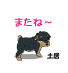 土居さん用の名前スタンプ・子犬イラスト（個別スタンプ：23）