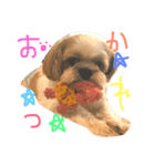 cocoa no iru seikatu（個別スタンプ：3）