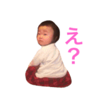 ポムポムファミリー（個別スタンプ：4）