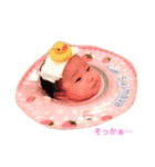 ポムポムファミリー（個別スタンプ：19）
