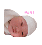 ポムポムファミリー（個別スタンプ：23）