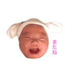 ポムポムファミリー（個別スタンプ：34）