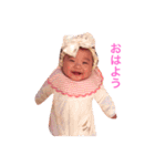 ポムポムファミリー（個別スタンプ：37）