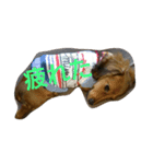 くぅくぅくぅ（個別スタンプ：5）
