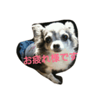 くぅくぅくぅ（個別スタンプ：8）