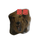 くぅくぅくぅ（個別スタンプ：9）