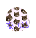 菜々子3（個別スタンプ：2）