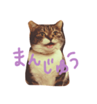菜々子3（個別スタンプ：6）