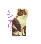 菜々子3（個別スタンプ：8）
