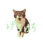 菜々子3（個別スタンプ：10）