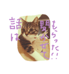 菜々子3（個別スタンプ：16）