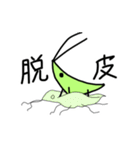 精霊飛蝗（個別スタンプ：29）