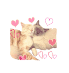 ジルロン（個別スタンプ：3）