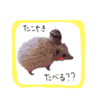 のりこの日常2（個別スタンプ：2）