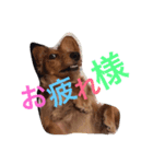 magochan's（個別スタンプ：3）