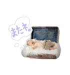 Little Mr.Ray-kyun（個別スタンプ：30）