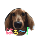 Masaki family1（個別スタンプ：2）