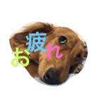 Masaki family1（個別スタンプ：5）