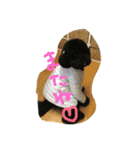 スタンダードプードル ゆうた（個別スタンプ：8）