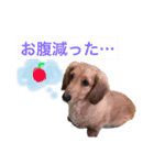 さそみえ2（個別スタンプ：7）
