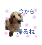 さそみえ2（個別スタンプ：15）