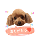 ろったんの日常（個別スタンプ：1）