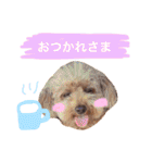ろったんの日常（個別スタンプ：4）