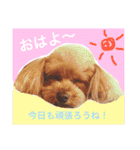 ろったんの日常（個別スタンプ：5）