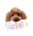 ろったんの日常（個別スタンプ：8）