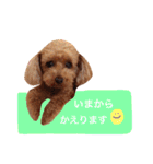 ろったんの日常（個別スタンプ：9）