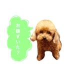 ろったんの日常（個別スタンプ：10）